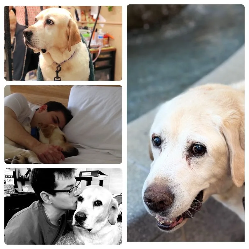 A montage grid of photos featuring Ryan and Pico