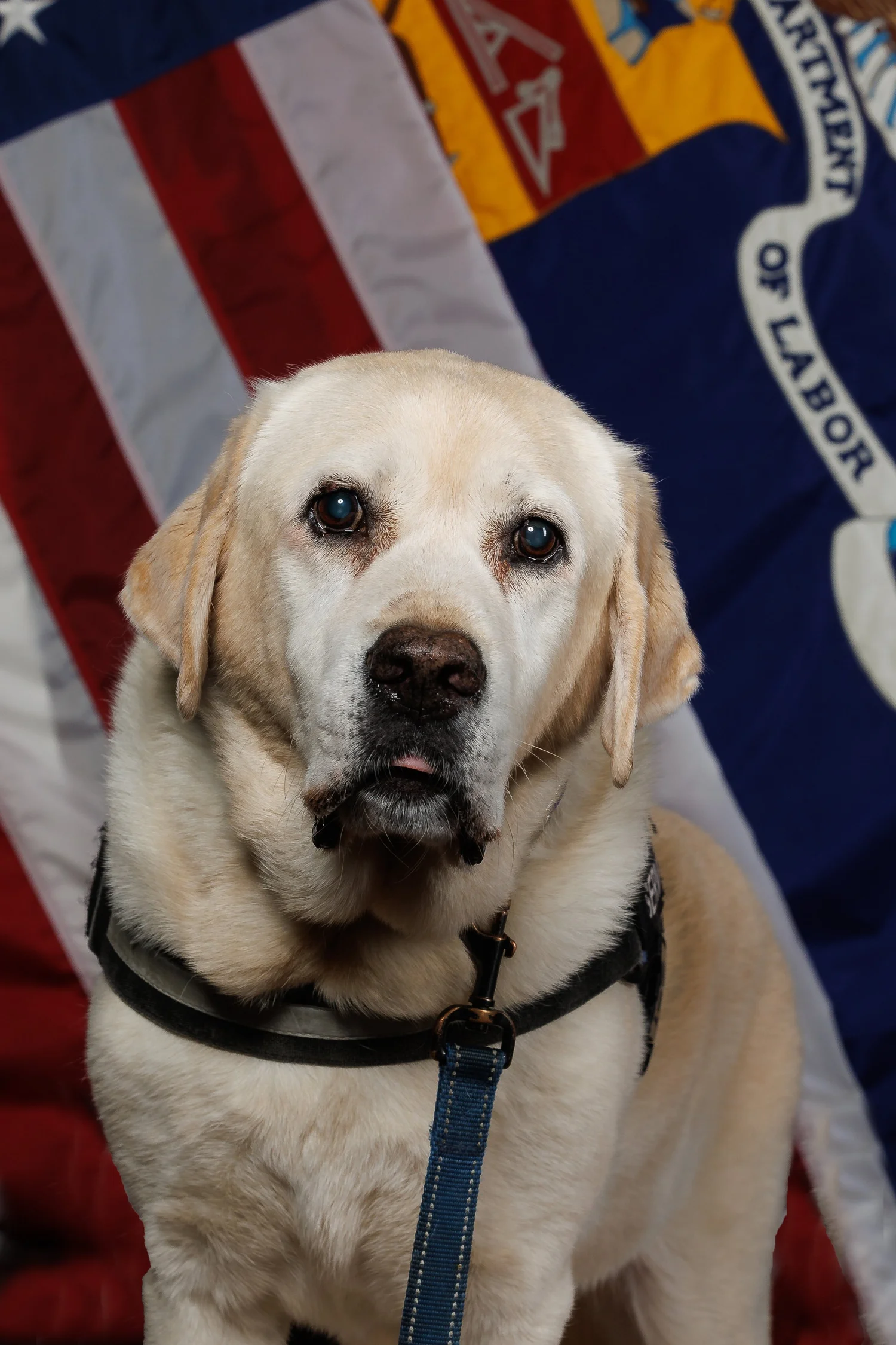 Pico stands behind the American flag for his professional portrait at the US Department of Labor