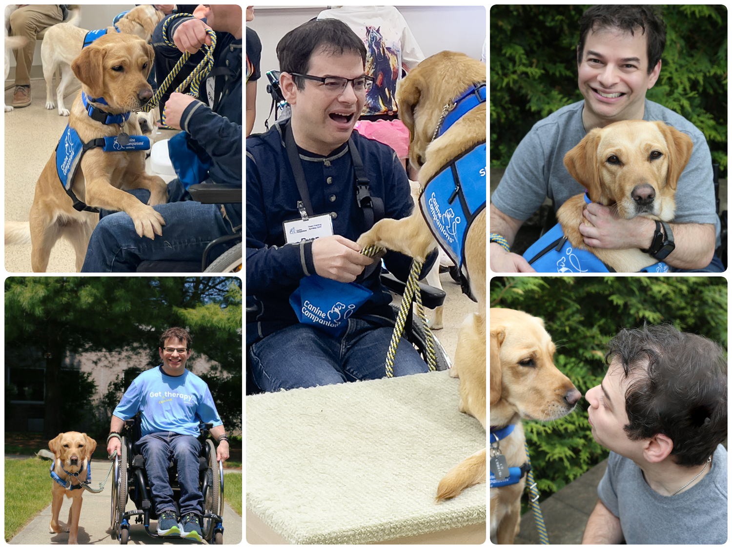 A montage of photos featuring Ryan with successor service dog, Lovey